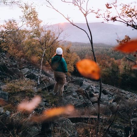 Penzion U Vyhlidky Хршибска Экстерьер фото